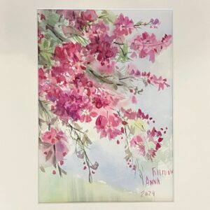 Cerisiers en fleurs (I) - avril 2024