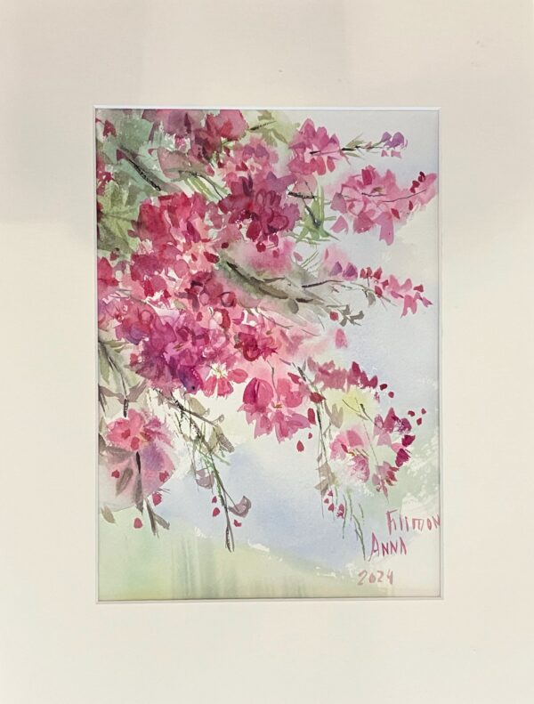 Cerisiers en fleurs (I) - avril 2024